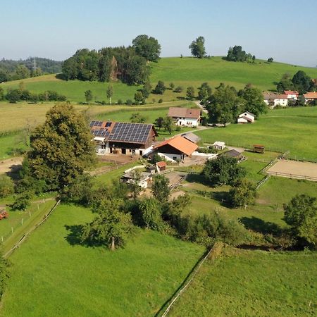 Carlo Lägenhet Wangen im Allgäu Exteriör bild