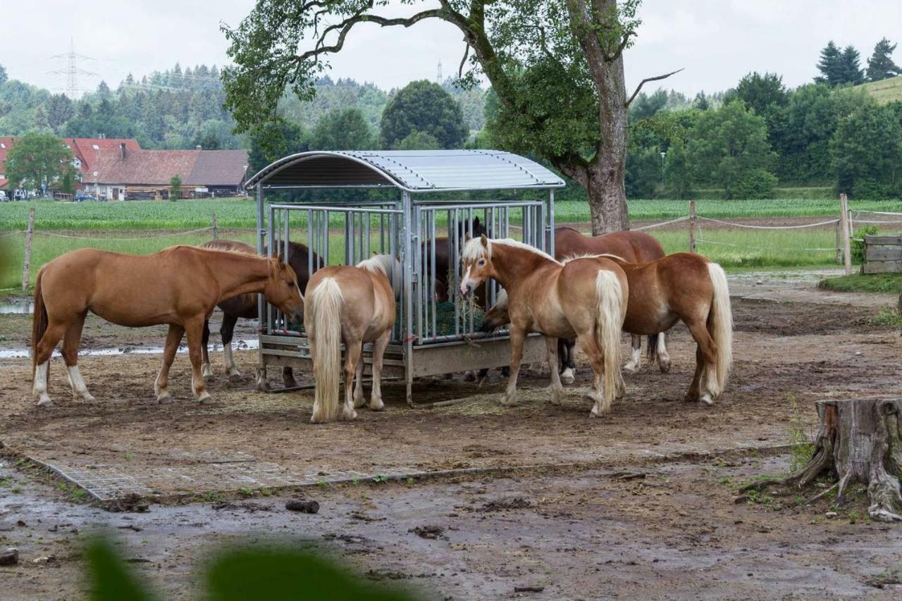 Carlo Lägenhet Wangen im Allgäu Exteriör bild