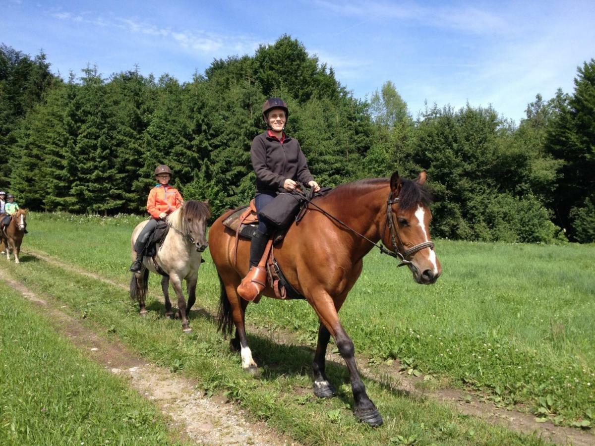 Carlo Lägenhet Wangen im Allgäu Exteriör bild