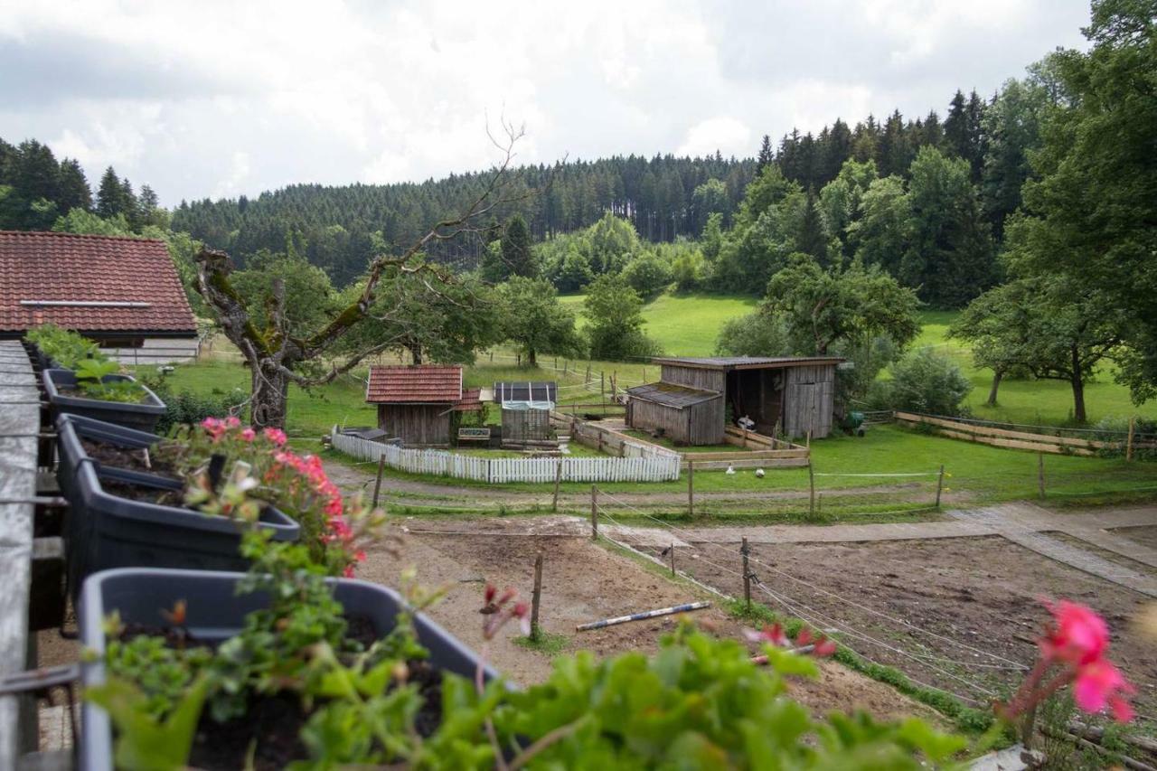 Carlo Lägenhet Wangen im Allgäu Exteriör bild