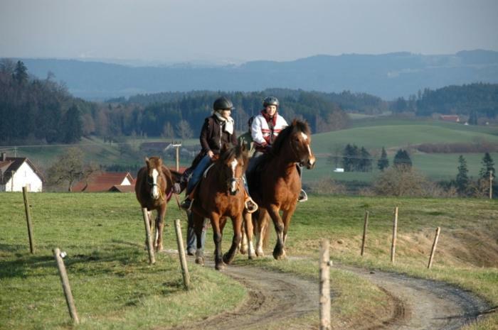 Carlo Lägenhet Wangen im Allgäu Exteriör bild